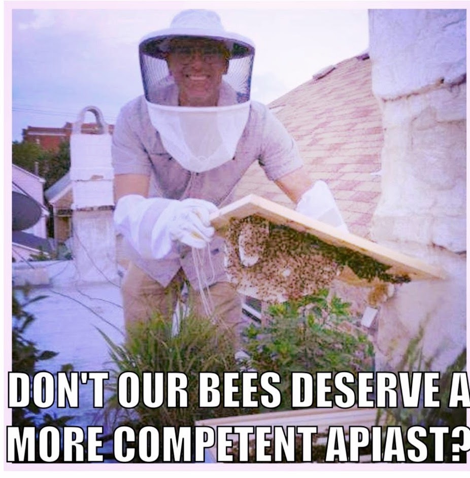 Consider Beekeeping